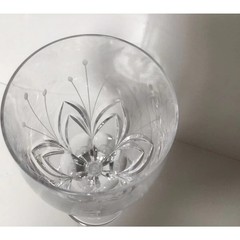 Vintage Clear Water Goblet Petit Points by MIKASA Set of 2 Drinking Glass