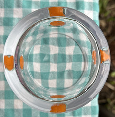 Anthropologie Hand Blown Juice Lowball Cocktail Glass White Rim Oranges Clear