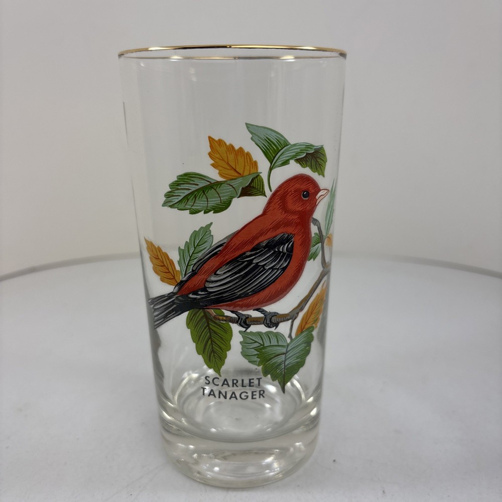 “Scarlet Tanager” Vintage 12oz Flat Tumbler By West Virginia Glass Specialty