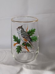 West Virginia Glass Speciality American Songbirds Pitcher Matching Glasses