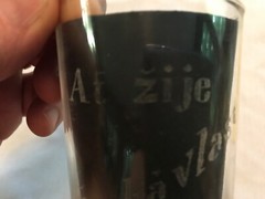 1915 J. W. Wisa, At Zije Ceskavlast Vintage Thin Acid Etched Glass