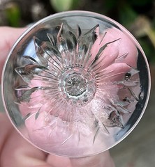 Hawkes Cut Glass Rock Crystal Rose Pattern Sherry or Cordial Amazing Cutting ￼