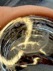 Saint-Louis – Continental Glasses in Crystal Model Jersey Set of 4