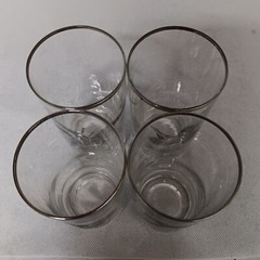 Federal Sportsman Game Birds Glasses 4 12 oz Grouse Pheasant Goose Canvasback