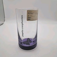 RONA Papilio Cresphontes Butterfly Purple Base Drinking Glass 4.5″ VintageVase