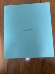 未使用 Tiffany & Co. Floret Champagne champaign Pair Set Wine Glass W/ Blue Box JP