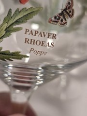 Portmeirion Botanic Garden Wine Glasses Hydrangea Sunflower Poppy Sweet Pea 4