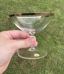 Vintage 1950’s Hand Blown Crystal Wine Goblets Platinum Rim W. Germany Set Of 2