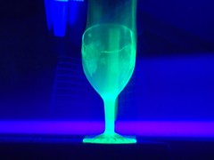 Standard Glass Company Grape Green Pattern Water Goblet 5 3/4″