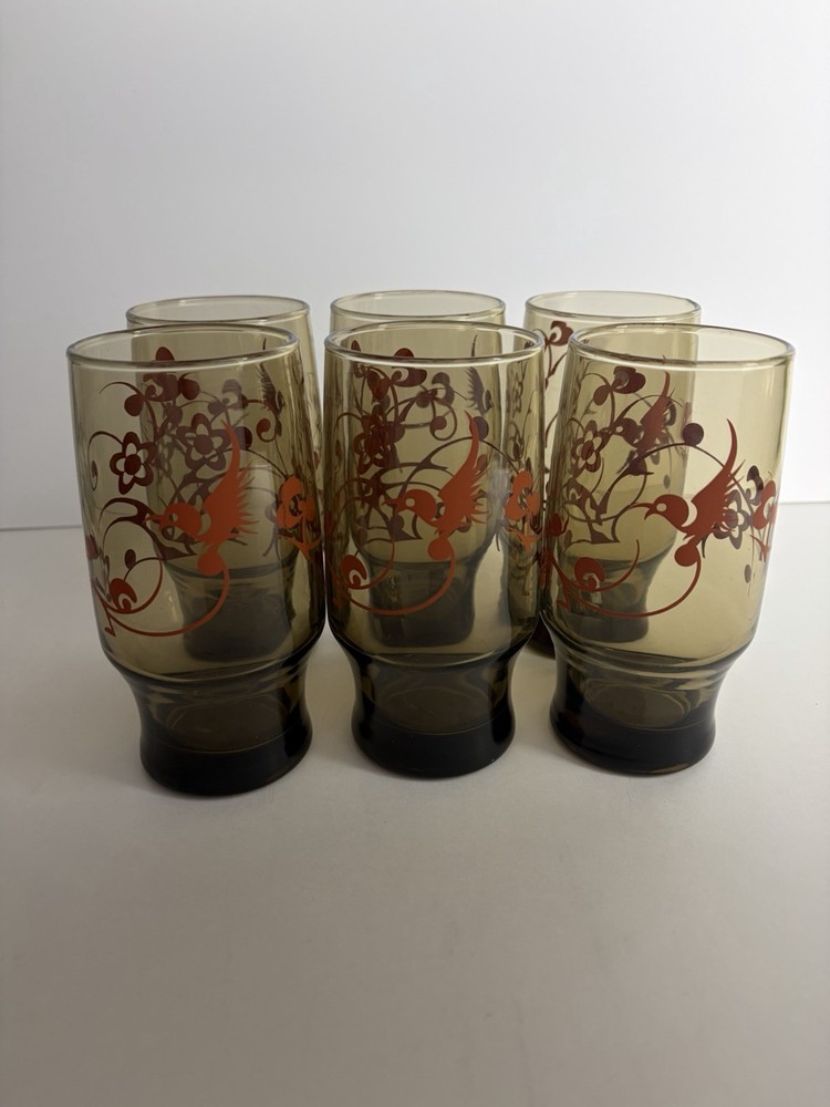 6 Vintage Smokey Brown Drinking Glasses Retro Birds & Flowers MCM, Boho, 70’s
