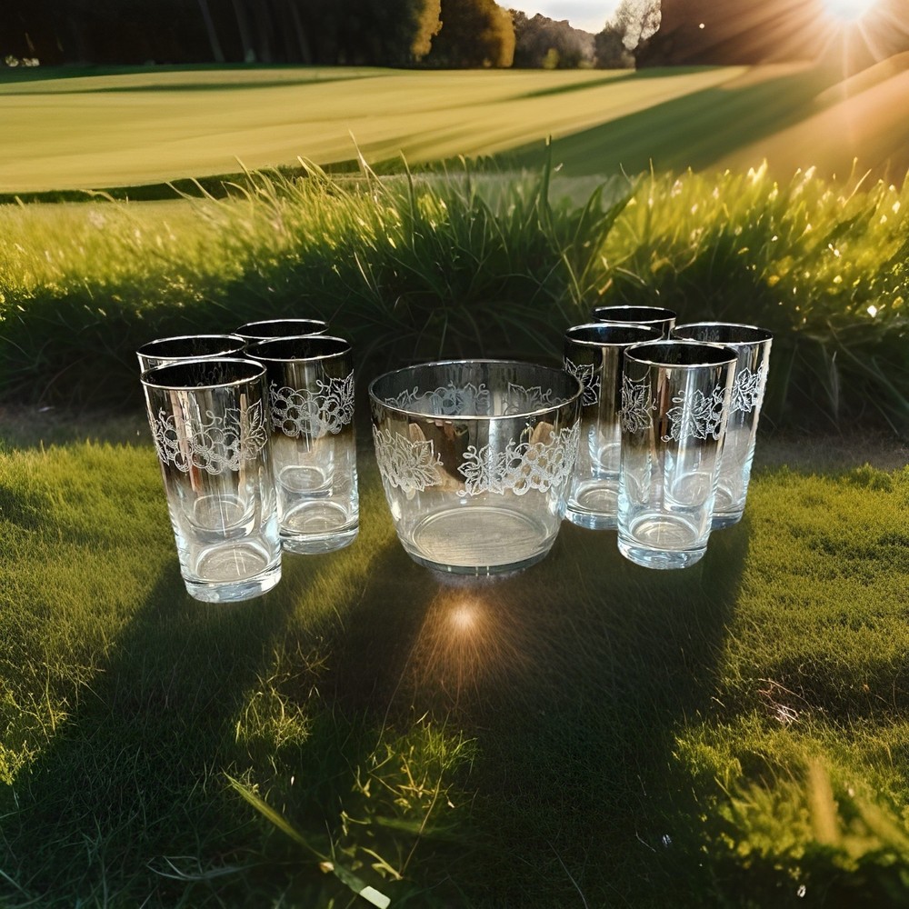 Silver Fade 1960’s Vitreon Queen’s Grape Glasses Set of 8 Glasses & Ice Bucket