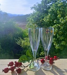 Bohemia Crystal Champagne Flutes Hand Cut «VICTORIA» Collection Set of 2