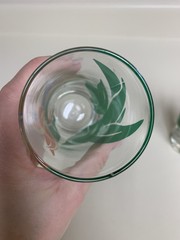 Vintage Libby Tropical glasses birds of paradise iris replacement set of 2