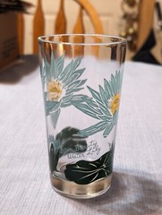 Vintage Boscul Aqua Blue Beauty Water Lily Peanut Butter 5″ Drinking Glass