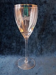 Kate Spade Lenox Crystal JUNE LANE Water Goblet Glass Dragonfly Wine