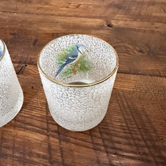 Vintage WV Glasses Flat Tumbler Songbirds 8 oz Set of 5 Gold Rim Nature Whimsy