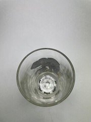 Elephant Highball Glass Stemless Drinking 8 oz Nice Art Works Hand Printed C71