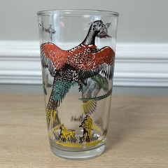 3 Vintage Glass Tumblers Pheasant Hunter Bird Dog Barware 12 Oz Drinking Glass