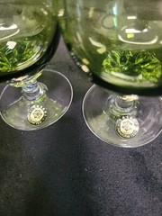 Set of 8 Green Saski Glasses