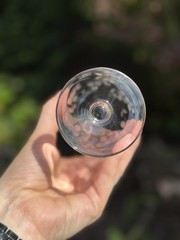 Vintage Cambridge Glass Crystal Oyster Cocktail Line Juice Paneled Optic Glass