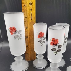 VTG Red Rose Cordial Glasses Set – 1 Tall & 5 Short – Frosted Silver Rim