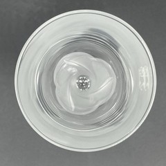 JG Durand Cristal D’Crystal Champagne Flute Arques FLORENCE Frosted Petals