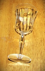 Glastonbury-Lotus ~ 7.5″ WATER GOBLET GRAY CUT FLORAL & LEAVES Optic Bowl #1000