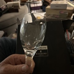 Set of 2 Waterford John Rocha Dot Imprint Water Goblets 8 1/2” NEW W/Box