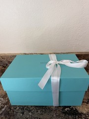 BRAND NEW Tiffany & Co Crystal Glass Champagne Flute Set of 2 Made In Germany