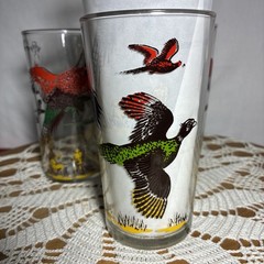 Vintage Pheasant Hunting Scene Drinking Glasses Set of 4 Game Bird Tumblers