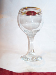 Valencia Wine Glass 24k Gold Rim 5.75 Inches Tall, 6 OZ. NEW IN BOX (6)