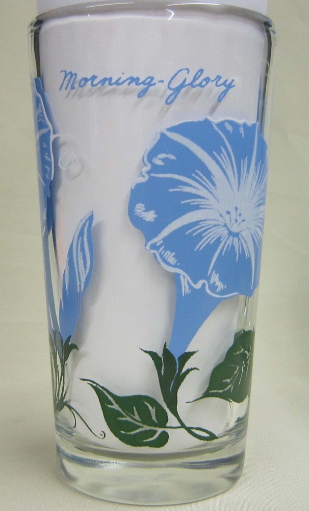 Morning Glory Peanut Butter Glass Glasses Drinking Kitchen Mauzy 73-6
