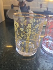 Aquarius And Aries MCM Glasses