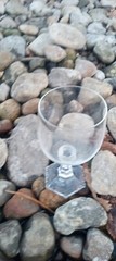 Set Of 2 «Maria» by Rosenthal Group Germany «Cassic Rose» Goblets