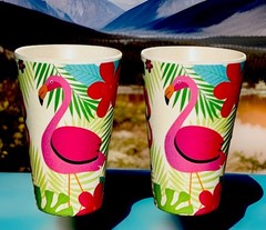 Naturally Danny Seo Tropical Melamine Cup Set Of 2