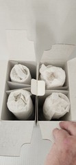 Lot of 4 New With Tags NWT Mikasa Flame D’Amore Champagne Flutes / Glasses