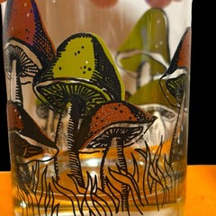 Vintage 1970s Mushroom Rocks Glasses Set Of 4 Inter Line Retro Barware Boho