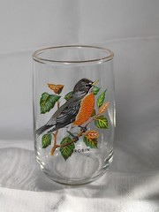 West Virginia Glass Speciality American Songbirds Pitcher Matching Glasses