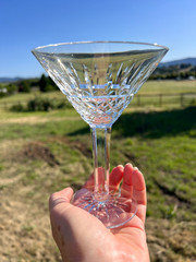 Waterford Vintage Crystal Maeve Martini Cocktail Glass Ireland READ
