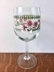 Portmeirion Botanic Garden Stemmed Wine Glass Gazania Ringens Treasure Flower