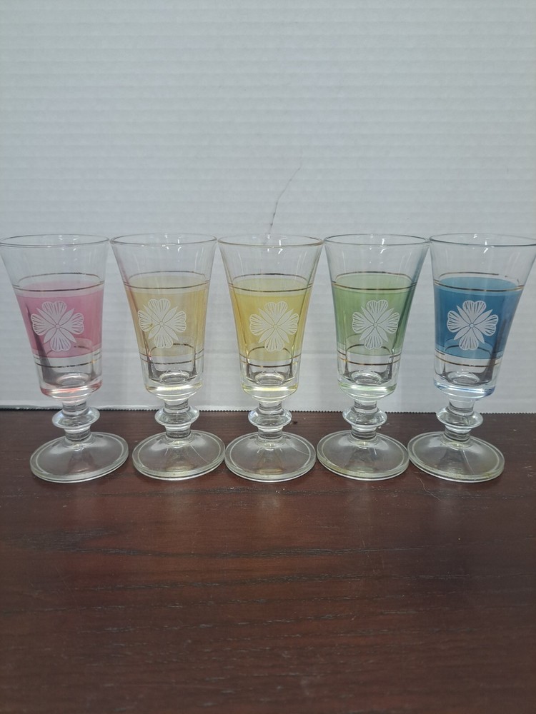 5 Peice Set Of Lubiana Color With White Flower Cordial Glasses