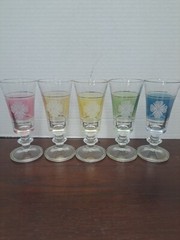5 Peice Set Of Lubiana Color With White Flower Cordial Glasses