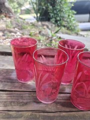 6 Vintage Etched Cattails & Lilly Pad Cranberry Juice Glass/Tumbler