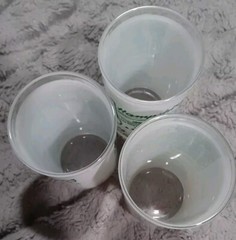 Lot of 3 1960s VTG Acid Etched NEW HAMPSHIRE Tumbler Cup Frosted Glass MCM