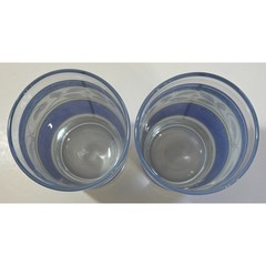 2 Vintage Collectible Pfaltzgraff Orleans Blue Green Vines 16 oz. Glass Tumblers