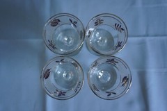 Libbey Golden Foliage set of 4 cocktail glasses frosted autumn leaves gold leaf