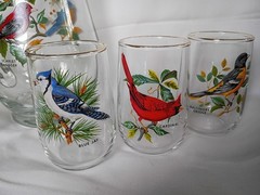 West Virginia Glass Speciality American Songbirds Pitcher Matching Glasses