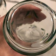 VT Libbey Glasses Jubilee Tulips 2-16oz Glasses