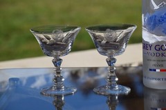 4 Vintage Etched Roses Cocktail ~ Martini glasses, Fostoria, Rose, circa 1950’s