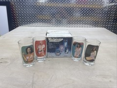 Vintage Striptease Highball Glasses Spencer’s Gifts Adult Novelty Vintage 1977